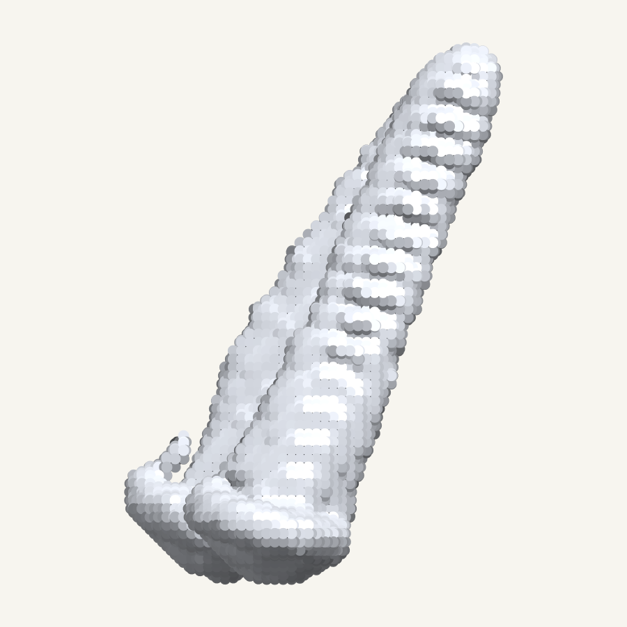 Sacroiliac screws, rendered in three dimensions from
             the released segmentation