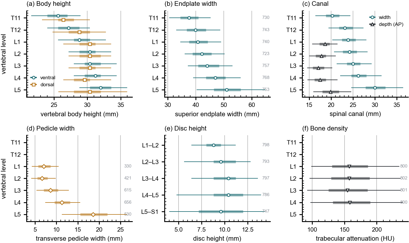 Six panels of lumbar and lower thoracic morphometry against vertebral level, each row showing a median marker, an interquartile bar and a 5th to 95th percentile line: body height ventral and dorsal, superior endplate width, canal width and depth, transverse pedicle width, disc height by interspace, and trabecular attenuation.