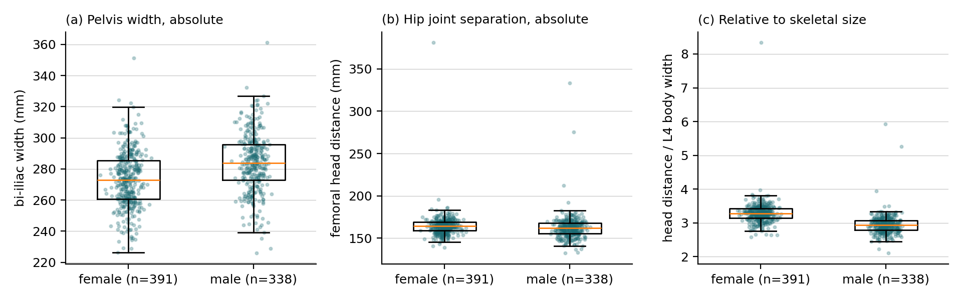 Three box plots by sex: bi-iliac width, femoral head distance, and head distance relative to L4 body width